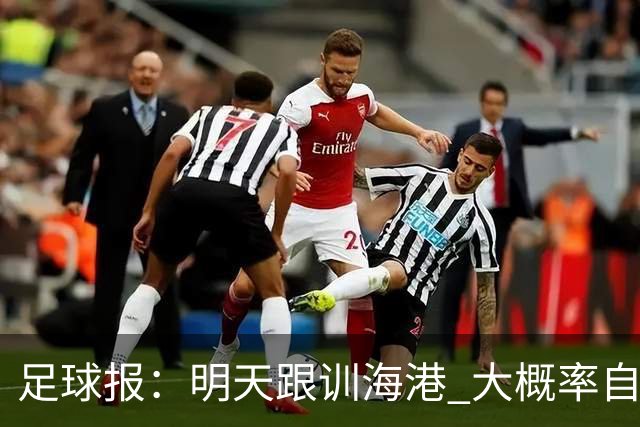 足球报：明天跟训海港 大概率自由身加盟 外援要补强
